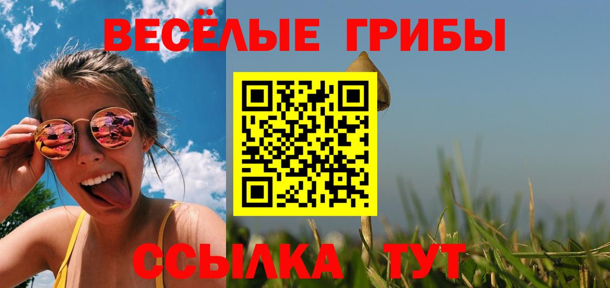 Псилоцибиновые грибы Psilocybe  Вход с VPN  Псилоцибиновые грибы Cubensis  Карабулак 